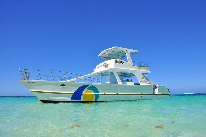 Private Boat Snorkeling and Swim with Shark and Stingray - Photo 1 of 15